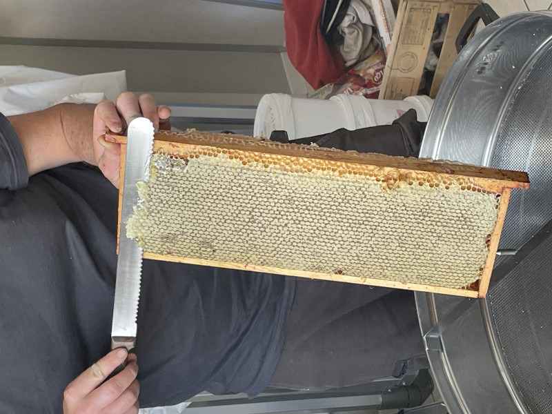 Récupération du miel
